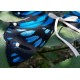 Yolanda Fleurs Avec Isabella Butterfly Collar and Hair Clips(Leftovers/7 Colours)